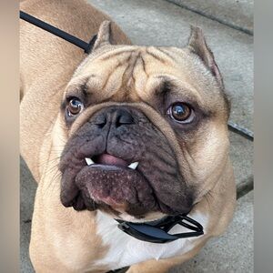 BUNDLE UP! LIKE MORE THAN ONE?  BUNDLE AND MAKE ME AN OFFER! 🦄🌺⭐️🌈🍓